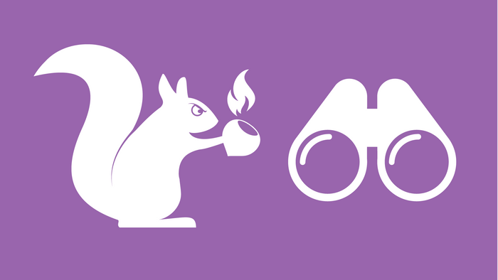 Squirrel Ip Payloads Tagged